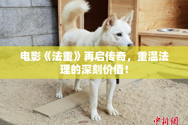 电影《法重》再启传奇，重温法理的深刻价值！