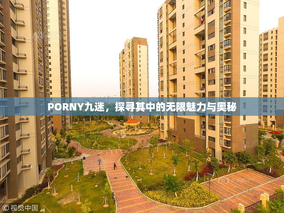 PORNY九迷，探寻其中的无限魅力与奥秘