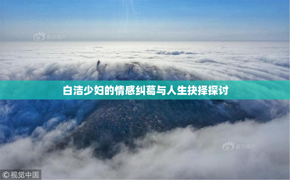 白洁少妇的情感纠葛与人生抉择探讨
