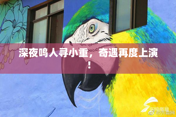 深夜鸣人寻小重，奇遇再度上演！
