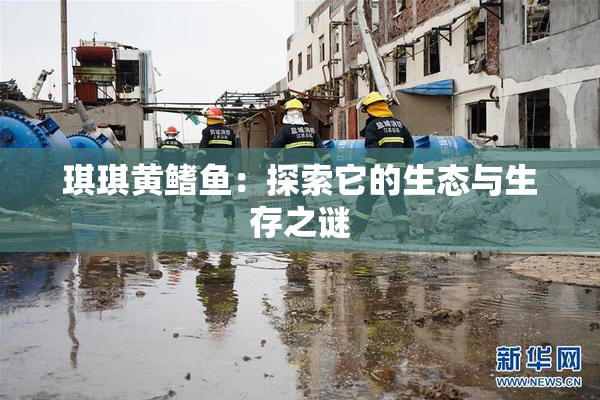 琪琪黄鳍鱼：探索它的生态与生存之谜