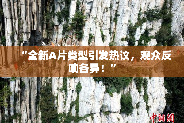 “全新A片类型引发热议，观众反响各异！”