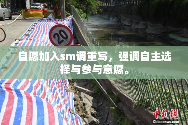 自愿加入sm调重写，强调自主选择与参与意愿。