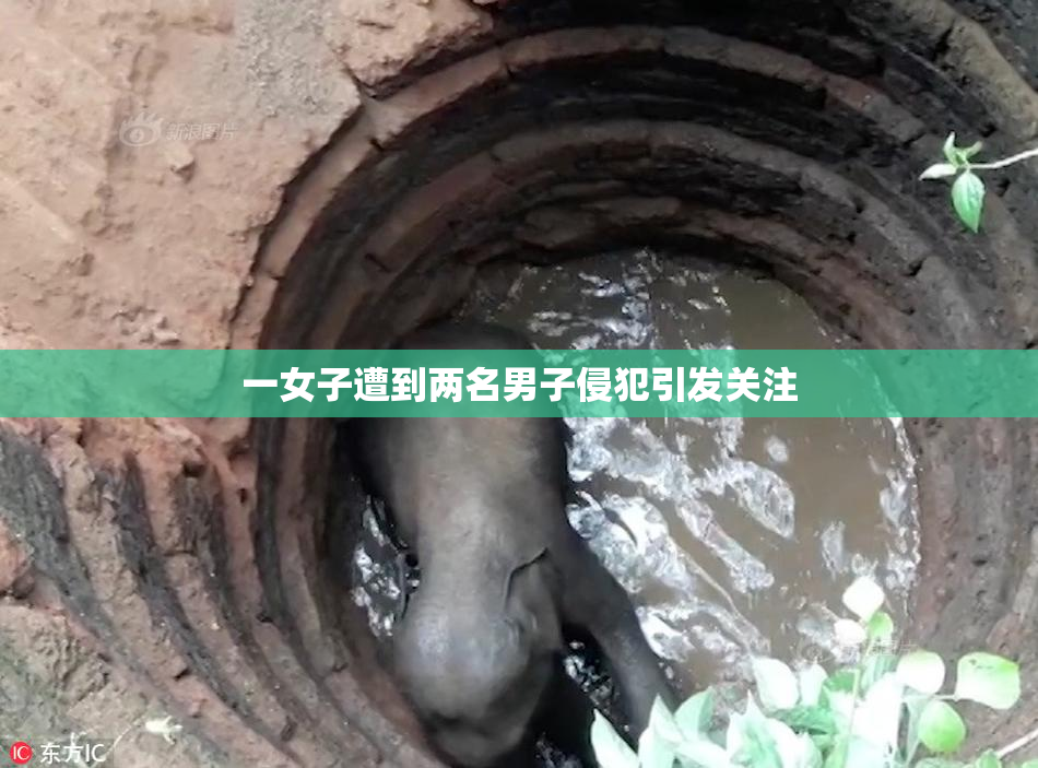 一女子遭到两名男子侵犯引发关注