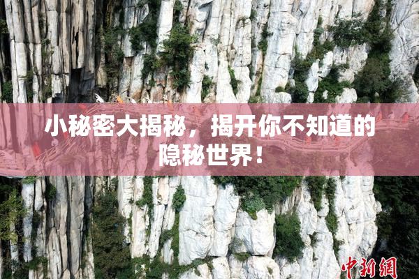 小秘密大揭秘，揭开你不知道的隐秘世界！