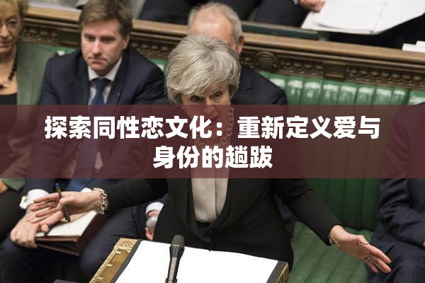 探索同性恋文化：重新定义爱与身份的趟跋