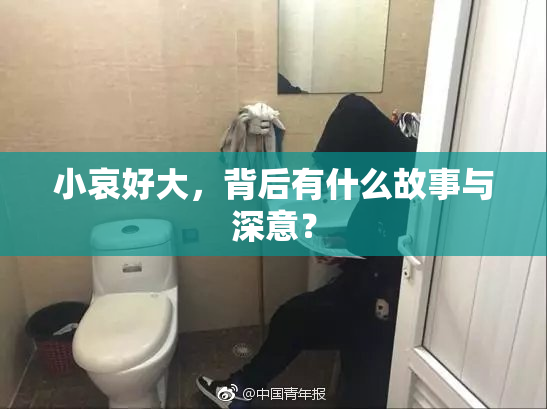 小哀好大，背后有什么故事与深意？