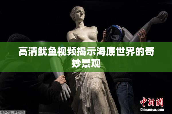 高清鱿鱼视频揭示海底世界的奇妙景观