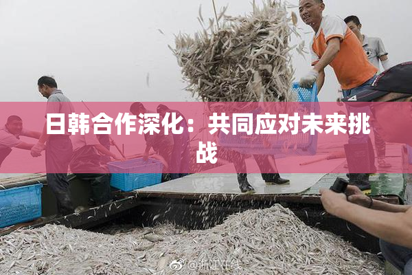 日韩合作深化：共同应对未来挑战