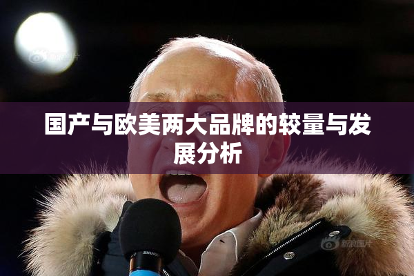 国产与欧美两大品牌的较量与发展分析