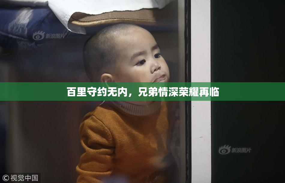 百里守约无内，兄弟情深荣耀再临