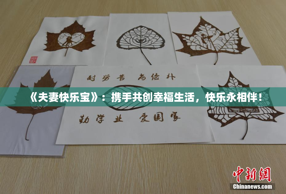 《夫妻快乐宝》：携手共创幸福生活，快乐永相伴！