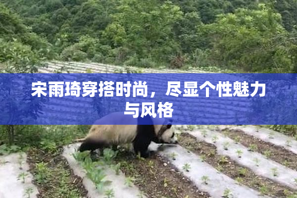 宋雨琦穿搭时尚，尽显个性魅力与风格