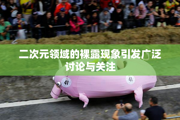 二次元领域的裸露现象引发广泛讨论与关注