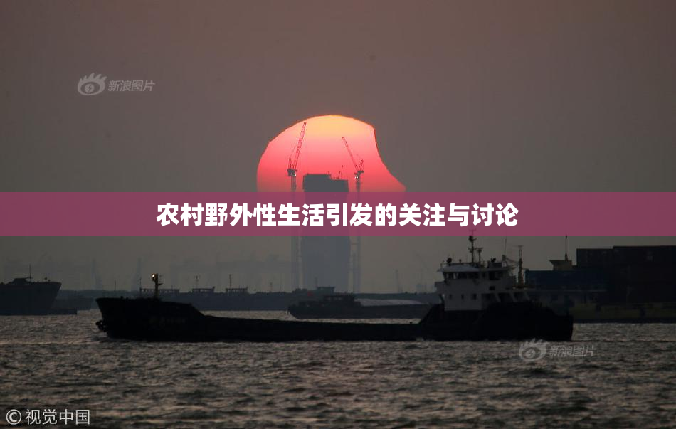 农村野外性生活引发的关注与讨论