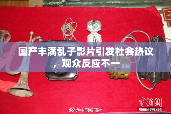 国产丰满乱子影片引发社会热议，观众反应不一