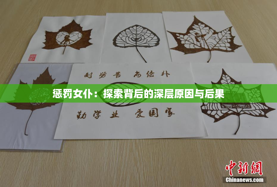 惩罚女仆：探索背后的深层原因与后果