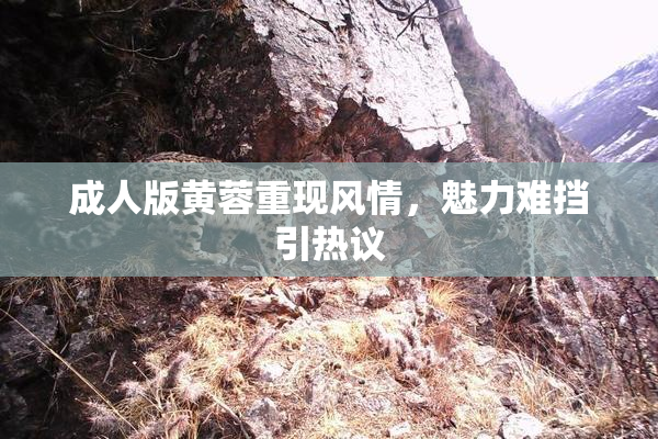 成人版黄蓉重现风情，魅力难挡引热议