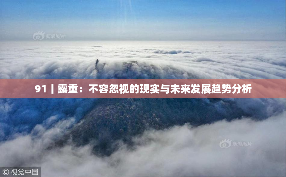 91丨露重：不容忽视的现实与未来发展趋势分析