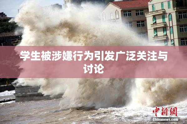 学生被涉嫌行为引发广泛关注与讨论