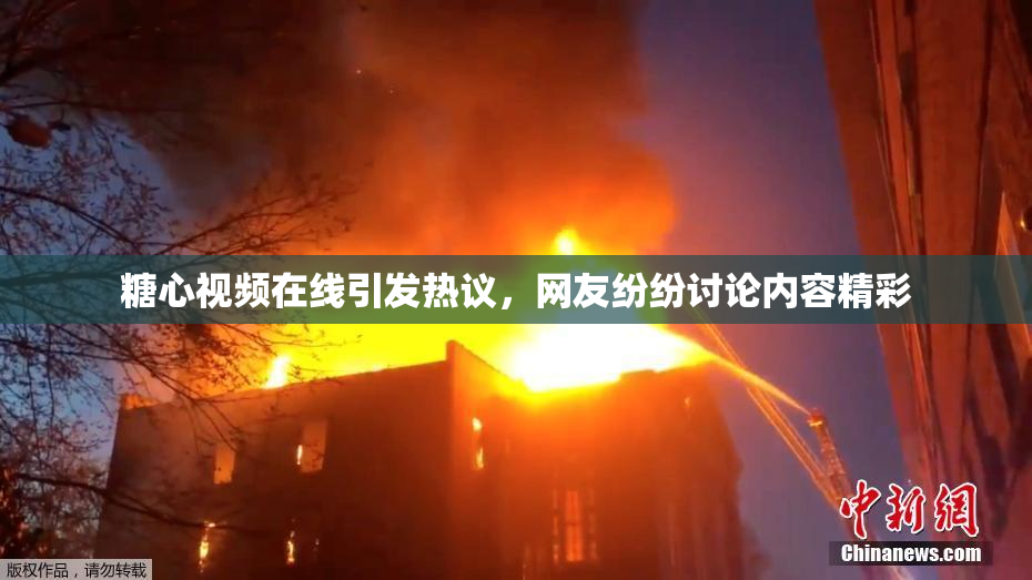 糖心视频在线引发热议，网友纷纷讨论内容精彩