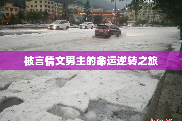 被言情文男主的命运逆转之旅