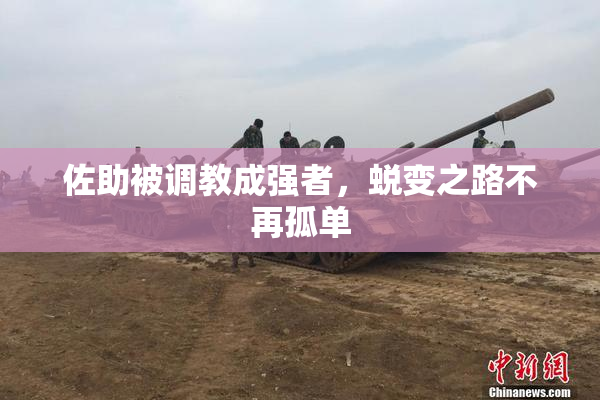 佐助被调教成强者，蜕变之路不再孤单