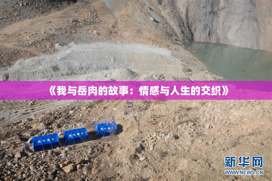《我与岳肉的故事：情感与人生的交织》