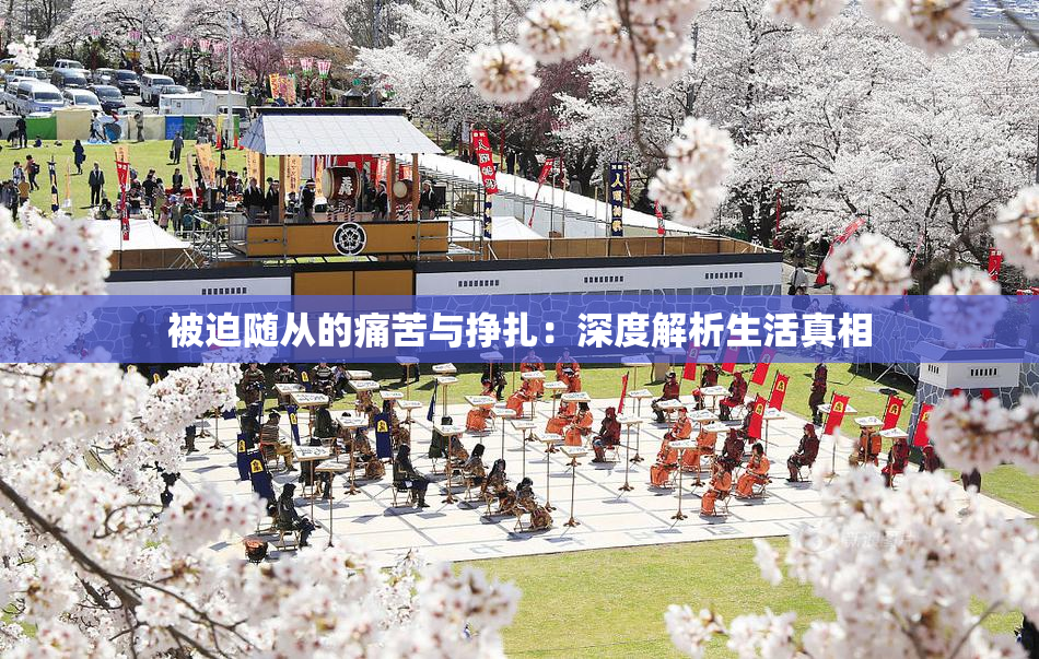 被迫随从的痛苦与挣扎：深度解析生活真相