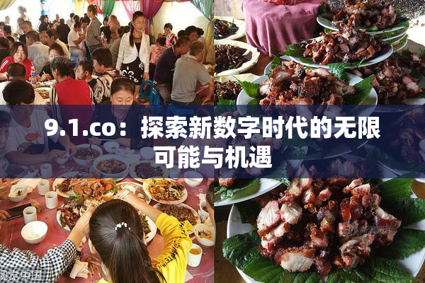 9.1.co：探索新数字时代的无限可能与机遇