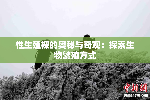 性生殖裸的奥秘与奇观：探索生物繁殖方式