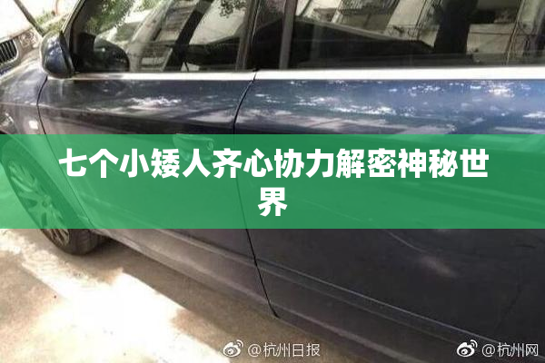 七个小矮人齐心协力解密神秘世界