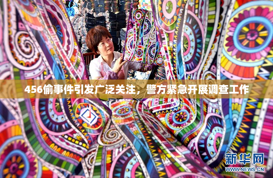 456偷事件引发广泛关注，警方紧急开展调查工作