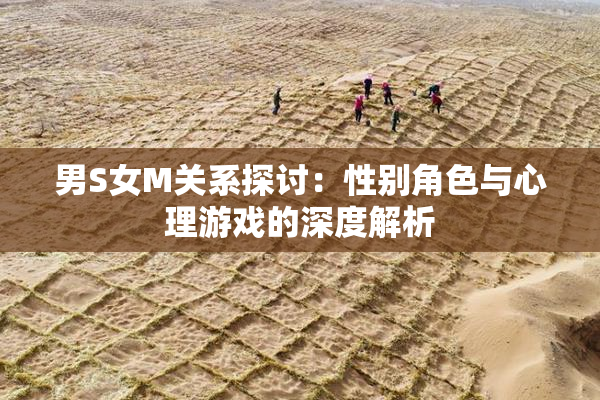 男S女M关系探讨：性别角色与心理游戏的深度解析