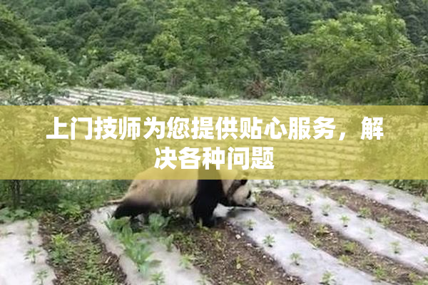上门技师为您提供贴心服务，解决各种问题