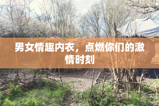男女情趣内衣，点燃你们的激情时刻