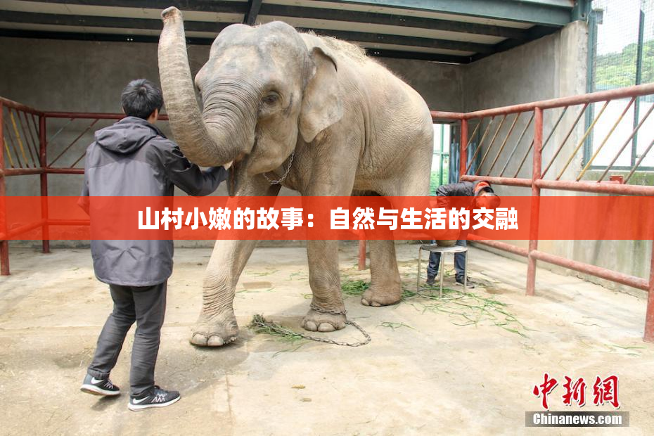 山村小嫩的故事：自然与生活的交融