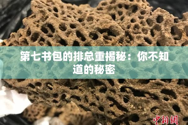 第七书包的排总重揭秘：你不知道的秘密