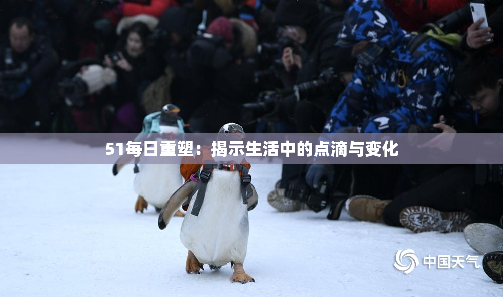 51每日重塑：揭示生活中的点滴与变化