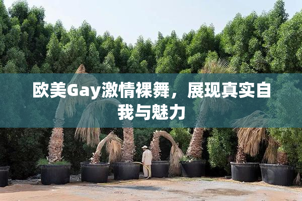 欧美Gay激情裸舞，展现真实自我与魅力
