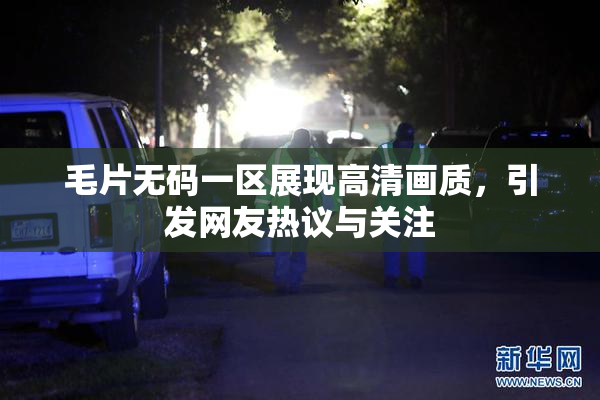 毛片无码一区展现高清画质，引发网友热议与关注