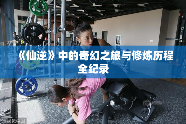 《仙逆》中的奇幻之旅与修炼历程全纪录