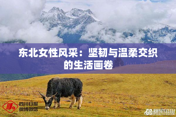 东北女性风采：坚韧与温柔交织的生活画卷