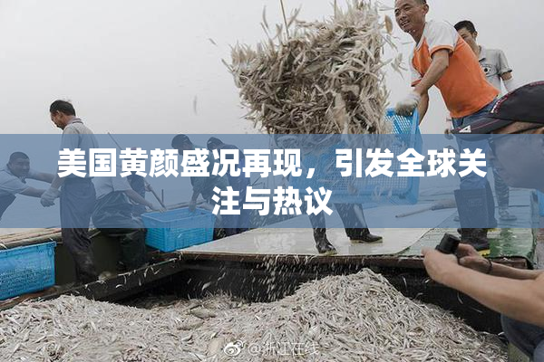 美国黄颜盛况再现，引发全球关注与热议
