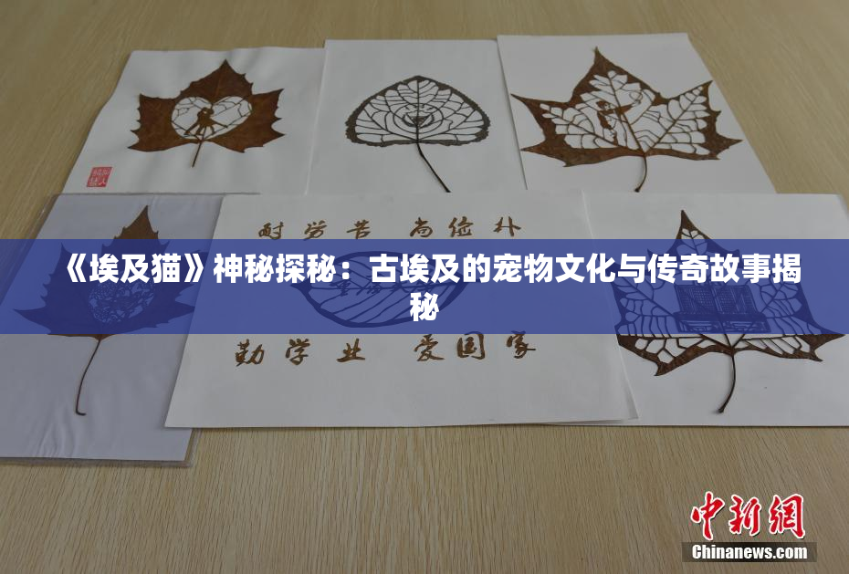 《埃及猫》神秘探秘：古埃及的宠物文化与传奇故事揭秘