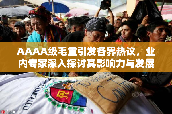 AAAA级毛重引发各界热议，业内专家深入探讨其影响力与发展前景