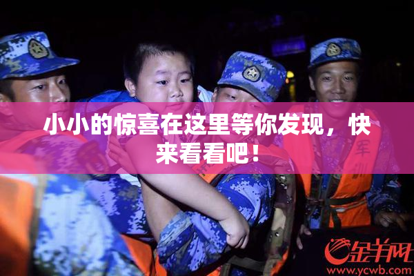 小小的惊喜在这里等你发现，快来看看吧！
