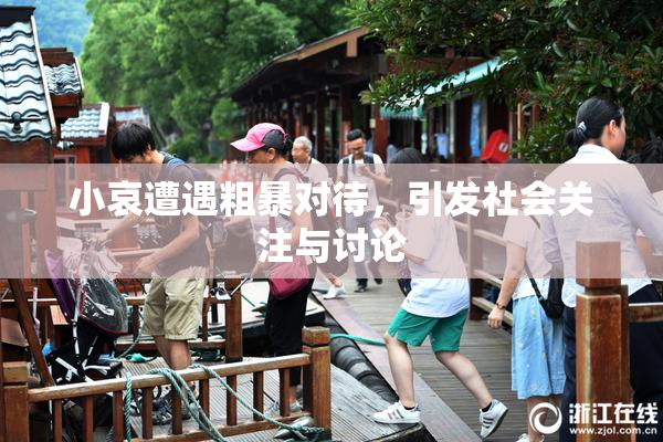 小哀遭遇粗暴对待，引发社会关注与讨论
