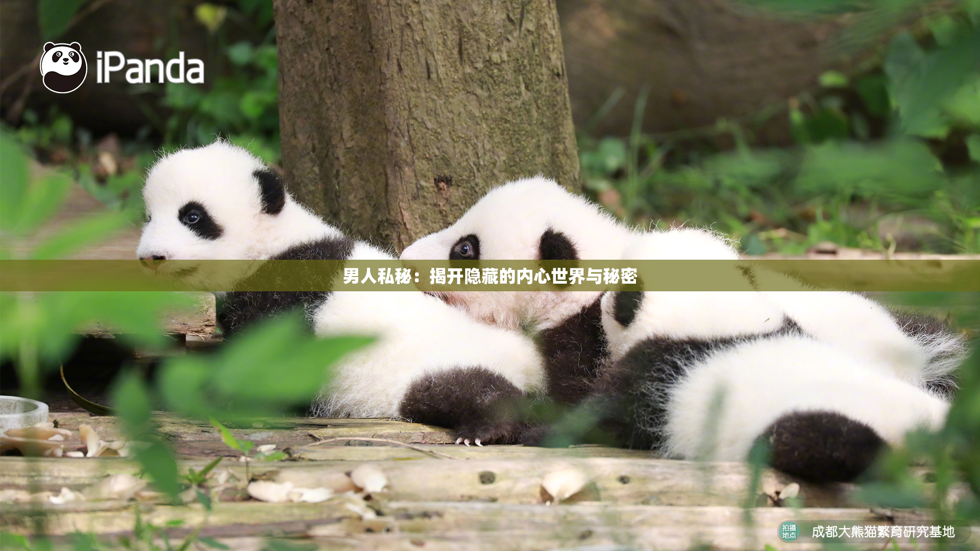 男人私秘：揭开隐藏的内心世界与秘密