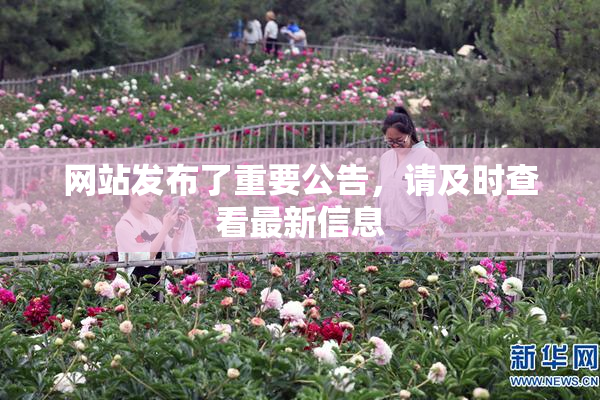 网站发布了重要公告，请及时查看最新信息
